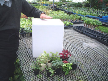 ��Ԃ�������������