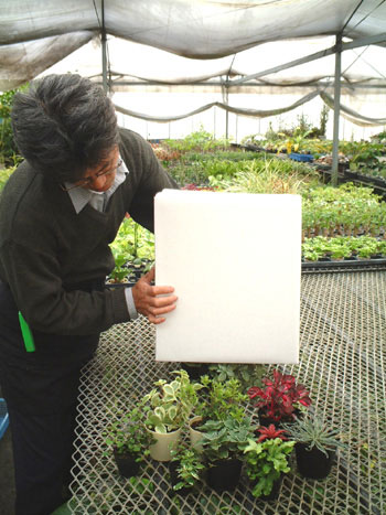 ���i�{�[�������J����