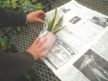 �V�����������t����