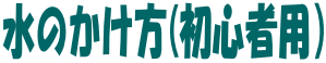 水のかけ方(初心者用)