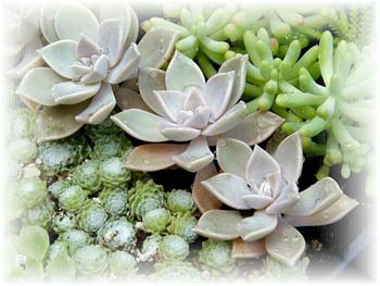 �������������@�����A��