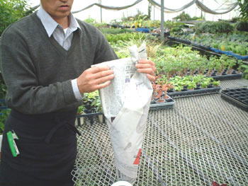 �㕔���񂹂�B