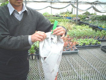 ��̕����𗯂߂�B